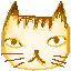 猫の顔