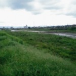 asakawa-seisou-1