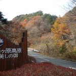 「美しの国」別荘地・白樺の木立ち編 「美しの国」別荘地・白樺の木立ち編