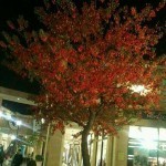 outlet
